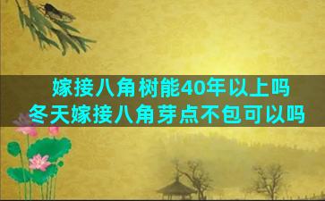 嫁接八角树能40年以上吗 冬天嫁接八角芽点不包可以吗